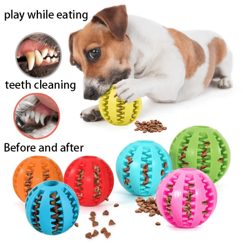 Brinquedo Interativo Pet Bola Ração - Brincadeira Deliciosa! - Bishopen