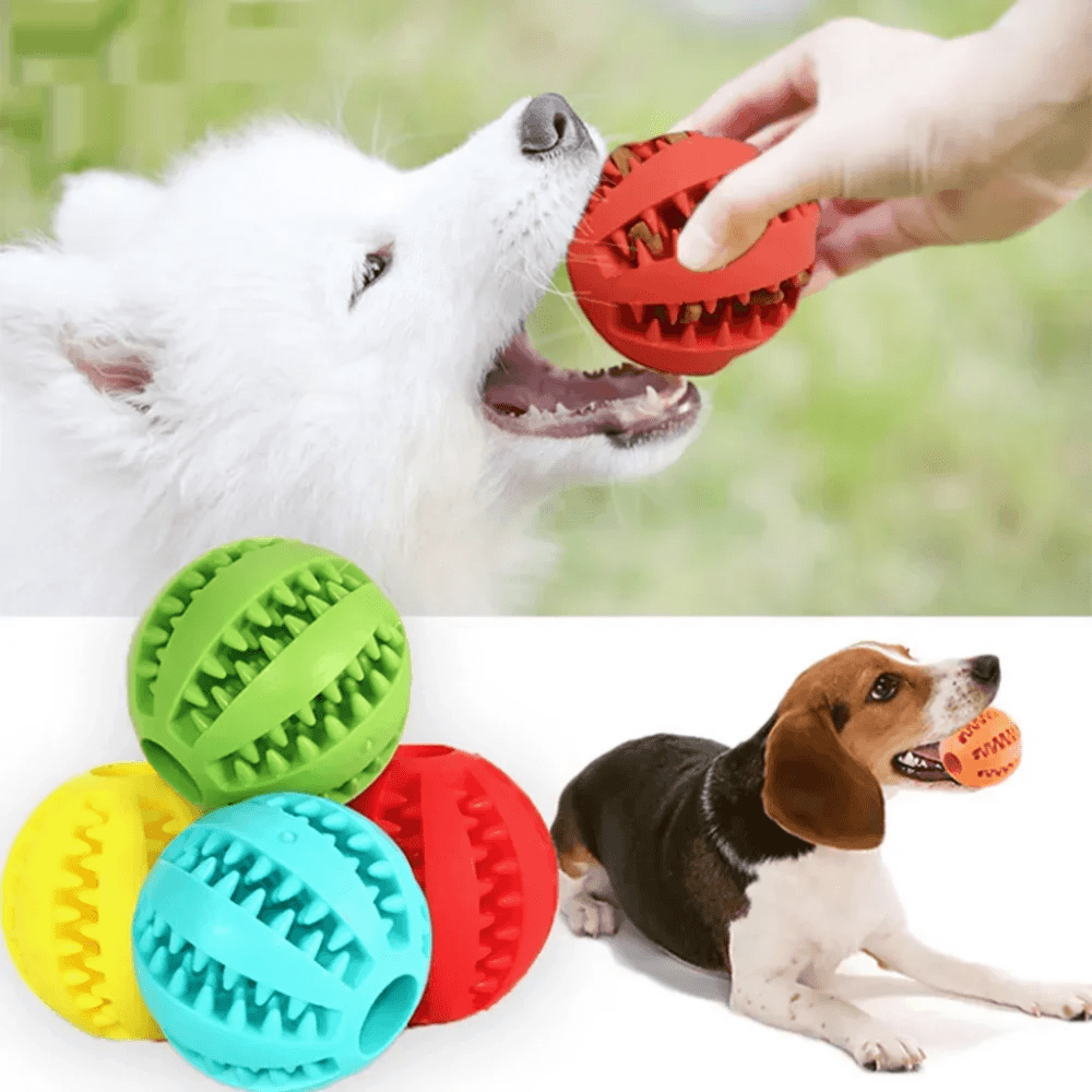Brinquedo Interativo Pet Bola Ração - Brincadeira Deliciosa! - Bishopen