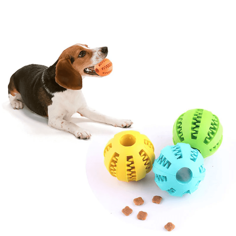 Brinquedo Interativo Pet Bola Ração - Brincadeira Deliciosa! - Bishopen