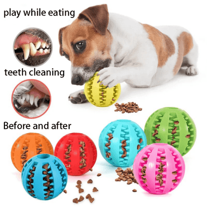 Brinquedo Interativo Pet Bola Ração - Brincadeira Deliciosa! - Bishopen