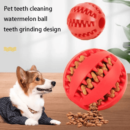 Brinquedo Interativo Pet Bola Ração - Brincadeira Deliciosa! - Bishopen